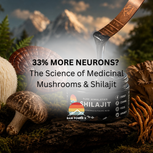 33% More Neurons? The Science of Medicinal Mushrooms, Brain Health & Shilajit