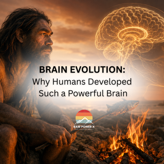 Brain Evolution: Why Humans Developed Such a Powerful Brain